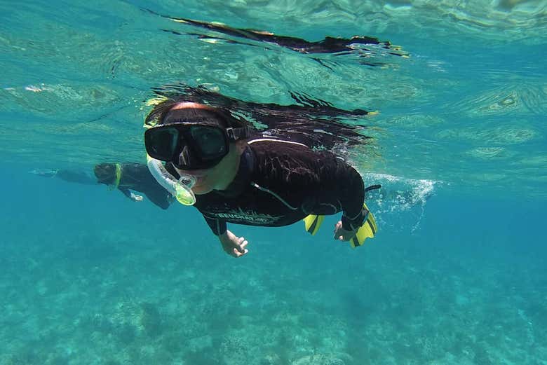 Snorkeling