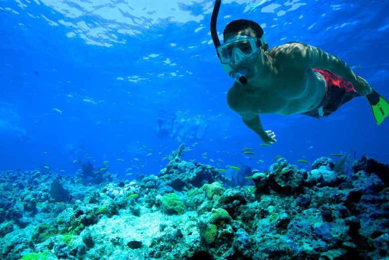 Snorkeling à Comino