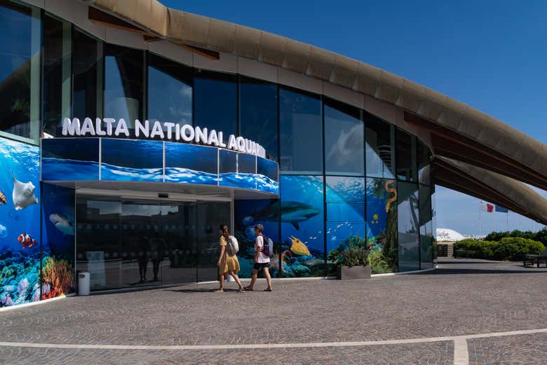 Guichet de l'Aquarium national de Malte