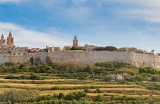 Excursion à Mdina et aux falaises de Dingli